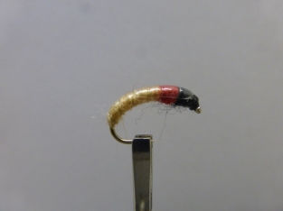 Size 14 Czech Mate Nymph